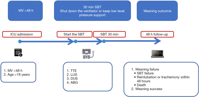 Prediction of weaning outcomes from mechanical ventilation in critically ill patients based on the combination of ultrasound parameters of the heart, lung, and diaphragm: a prospective observational cohort study.