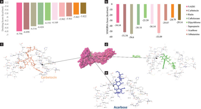 In silico drug repurposing targeting fusion and nucleoprotein of human metapneumovirus: A step toward pandemic preparedness.