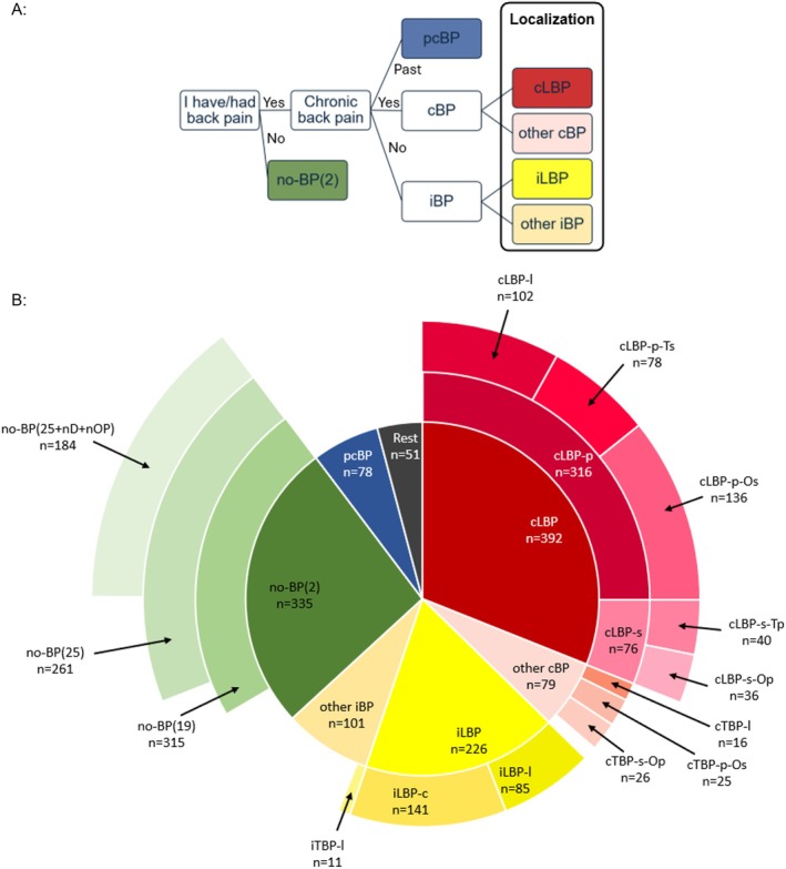 Detailed Analysis of Back Pain: A Cross-Sectional Study of Epidemiology and Previous Therapies in a German Population.