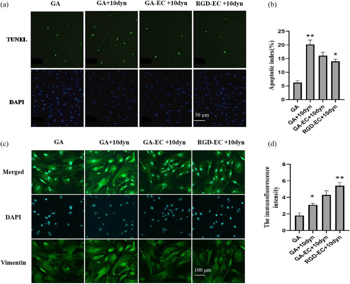 Biological properties of valve materials using RGD and EC.