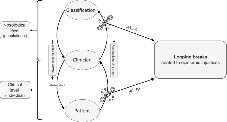 The role of clinicians in the looping effect: epistemic injustices and looping breaks.