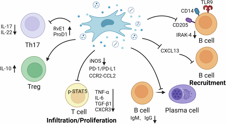 Mesenchymal stem cells for lung diseases: focus on immunomodulatory action.