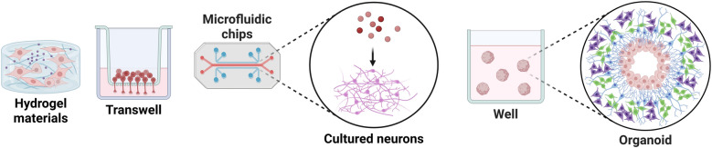 Cutting-edge technologies in neural regeneration.