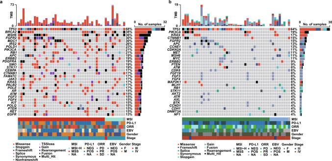 Circulating tumor DNA predicts clinical benefits of immune checkpoint blockade in HER2-negative patients with advanced gastric cancer.