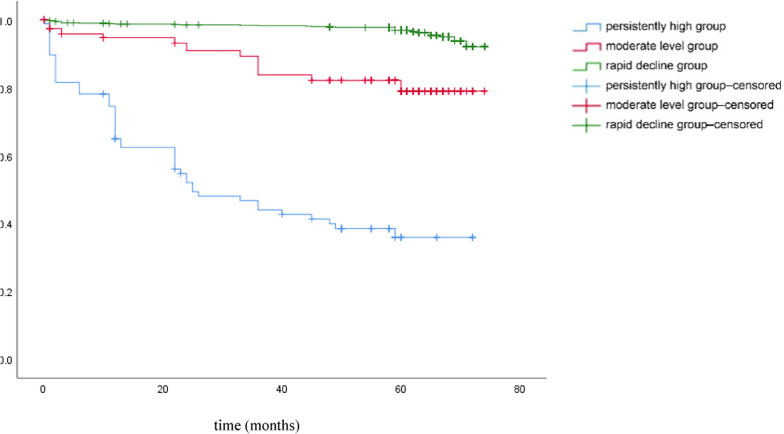 Association between dynamic changes in the triglyceride-glucose index and prognosis in patients with acute ST-segment elevation myocardial infarction.