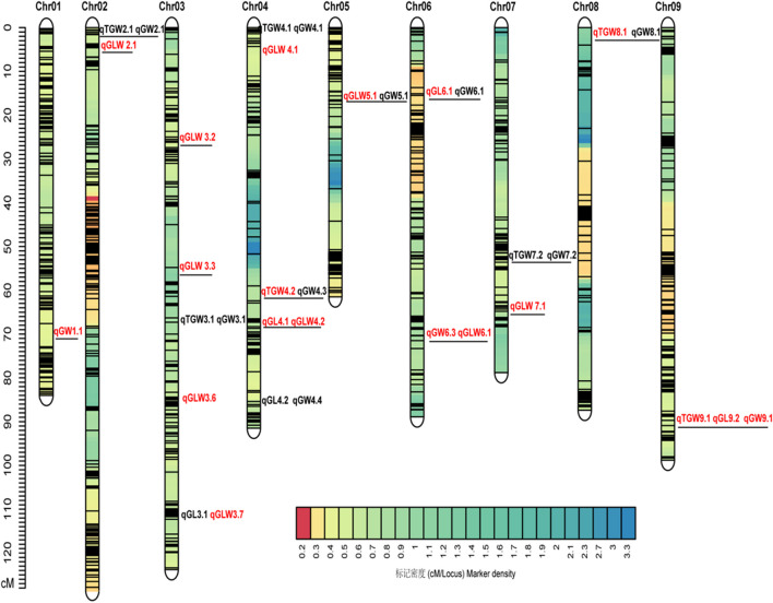QTL analysis of sorghum grain traits based on high-density genetic map.