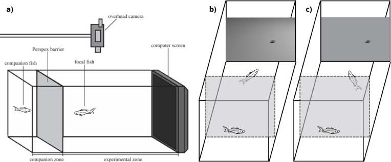 The influence of illumination and cast shadows on prey detectability by predators.