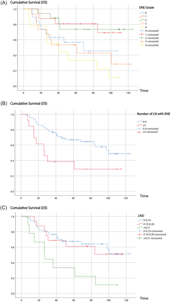 The Importance of Extranodal Extension Grading in Laryngeal Squamous Cell Carcinoma.