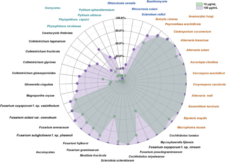 Antifungal spectrum of cyclobutrifluram and multi-point mutations in CcSdh proteins confer resistance in Corynespora cassiicola.
