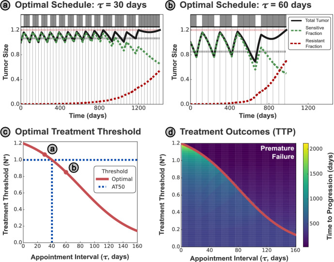 Deriving Optimal Treatment Timing for Adaptive Therapy: Matching the Model to the Tumor Dynamics.
