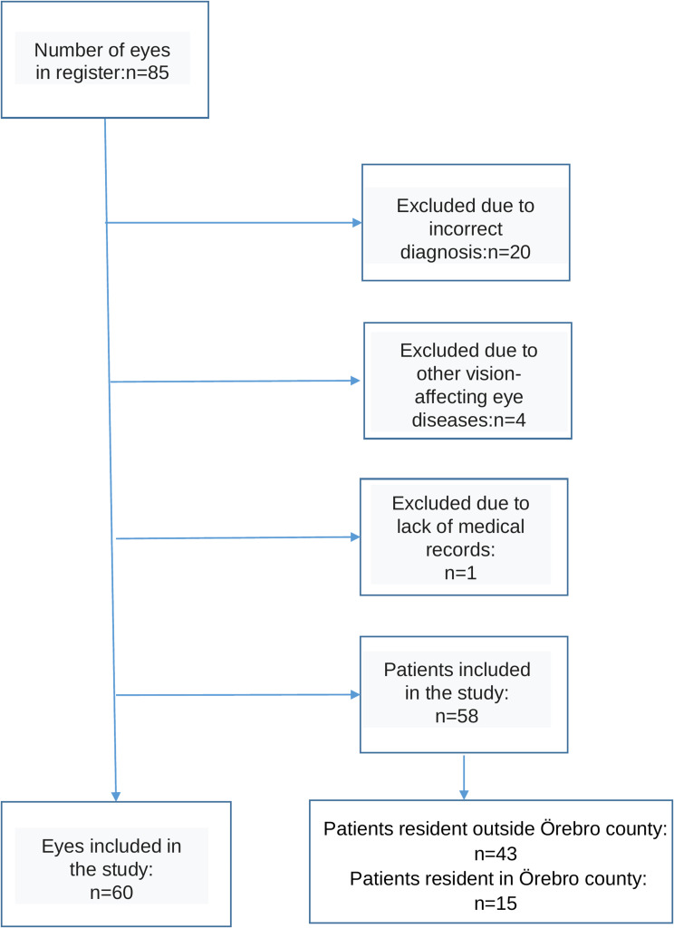 Visual Outcomes and Prognostic Factors in Epiretinal Membrane Foveoschisis and Lamellar Macular Hole Surgery: A Retrospective Study.