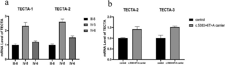 A novel splicing variant in TECTA associated with prelingual autosomal dominant nonsyndromic hearing loss via dominant-negative effect.