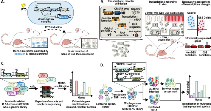 CRISPR-based genetic tools for the study of host-microbe interactions.