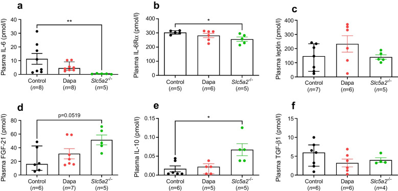 Effects of SGLT2 ablation or inhibition on corticosterone secretion in high-fat-fed mice: exploring a nexus with cytokine levels.