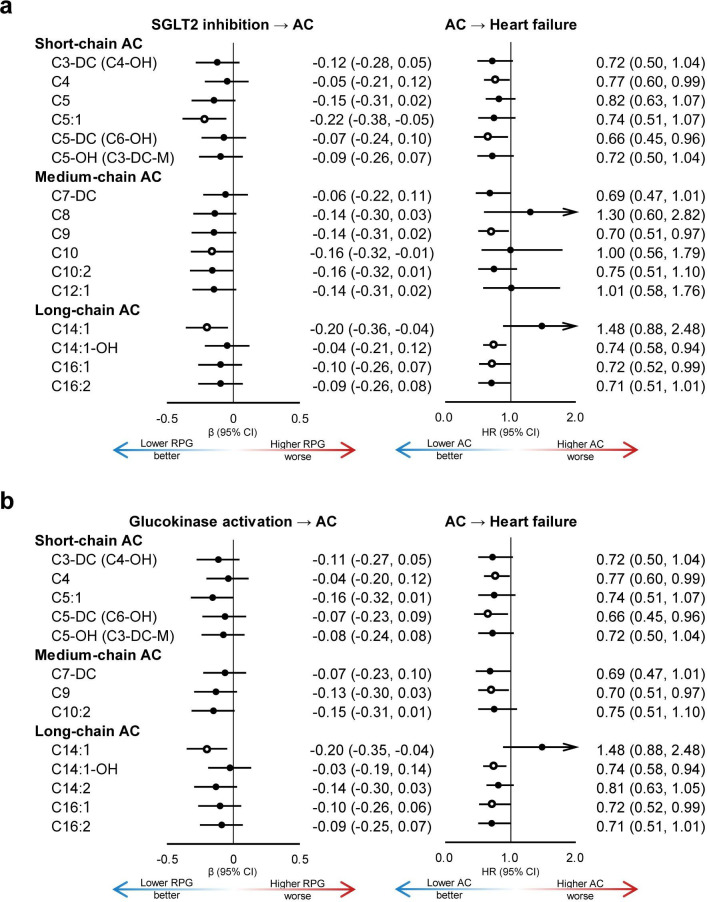 SGLT2 inhibition, acylcarnitines and heart failure: a Mendelian randomization study.