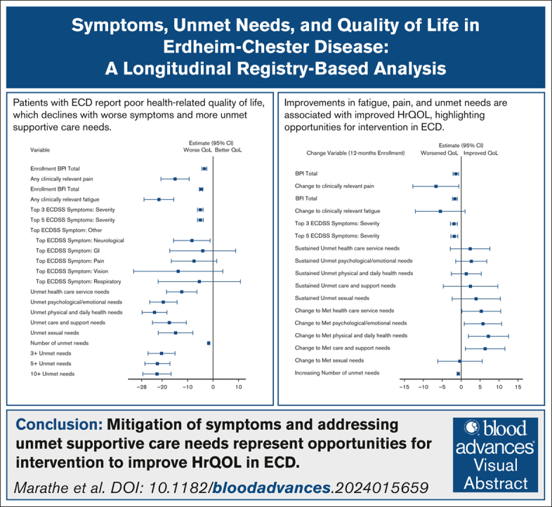Symptoms, unmet needs, and quality of life in Erdheim-Chester disease: a longitudinal registry-based analysis.