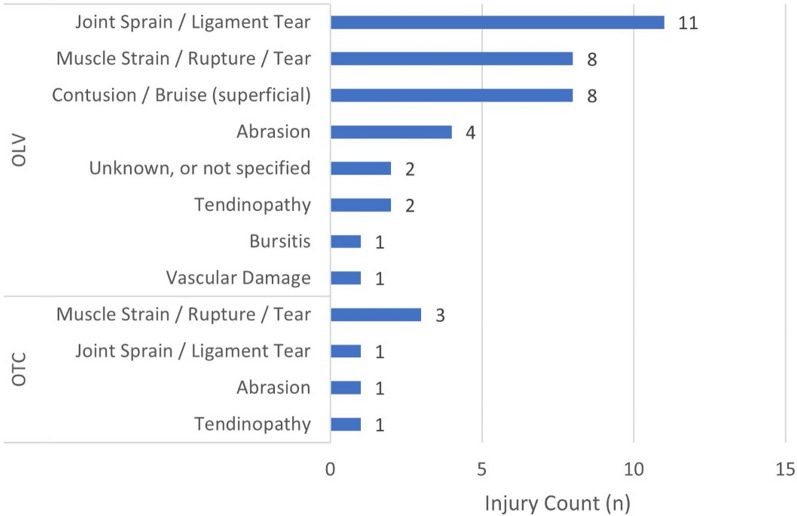 Team Korea injury and illness surveillance at the 2024 Paris Olympic Games.