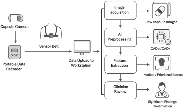 Integration of Artificial Intelligence-Enhanced Capsule Endoscopy in Clinical Practice: A Review of Market-Available Tools for Clinical Practice.