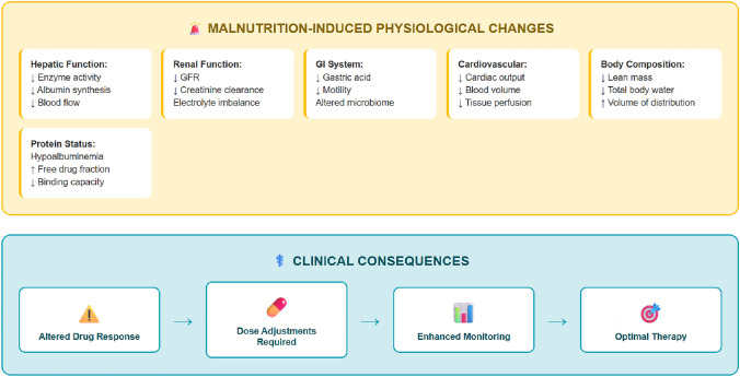 Malnutrition and Its Effect on Drug Pharmacokinetics: A Clinical Perspective.