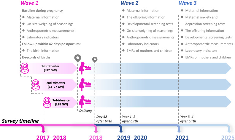 Cohort Profile: The Iodine Status in Pregnancy and Offspring Health Cohort (ISPOHC).