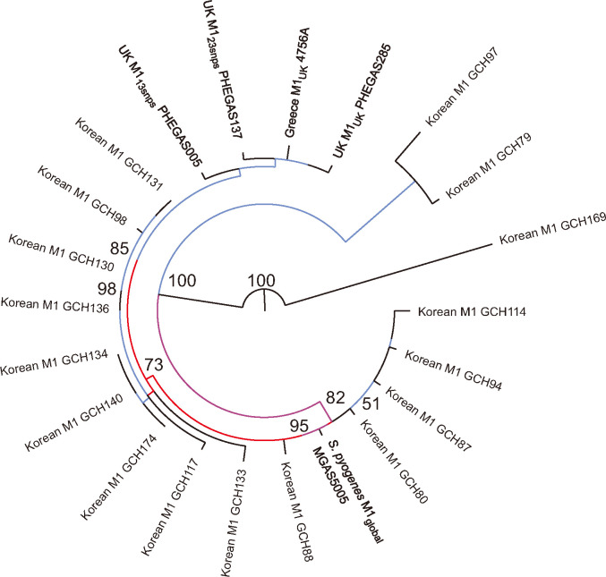 Core-genome Single-nucleotide Polymorphism Analysis of <i>Streptococcus pyogenes</i> M1 Clone from Korea During the Pre-COVID-19 Era.