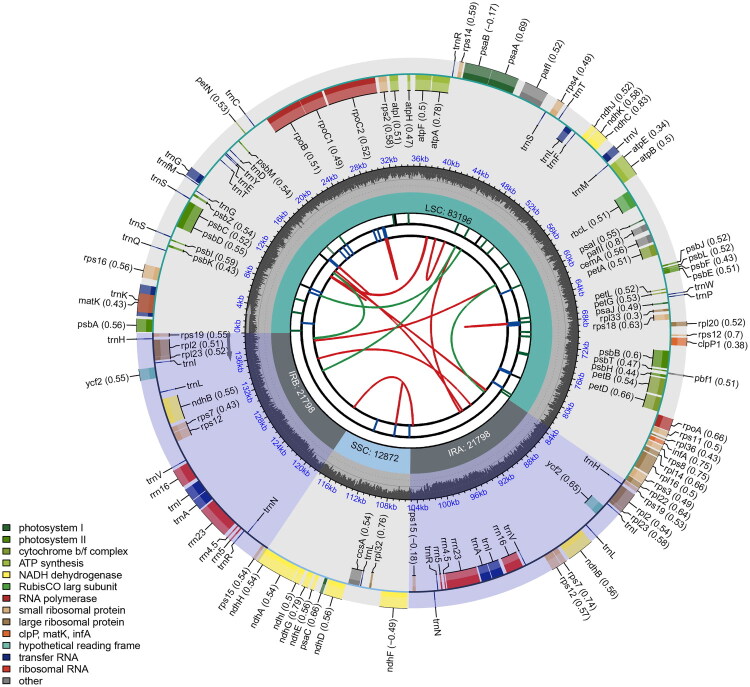 Phylogenomic insights from the complete chloroplast genome of <i>Phyllostachys lithophila</i> (poaceae: bambusoideae: arundinarieae) in Taiwan.