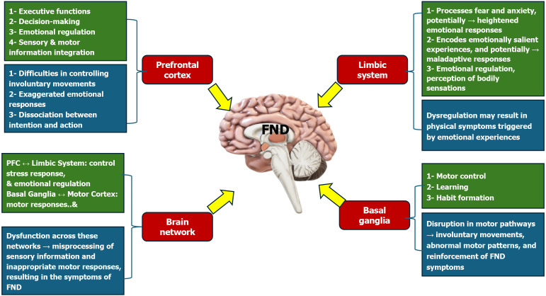 Unraveling functional neurological disorder in pediatric populations: A systematic review of diagnosis, treatment, and outcomes.