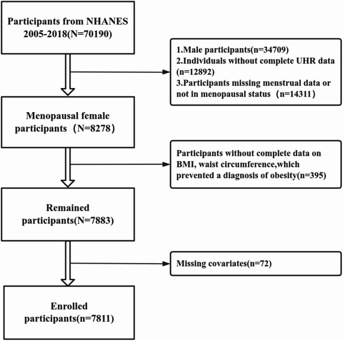 The association between the uric acid to high-density lipoprotein cholesterol ratio (UHR) index and obesity in postmenopausal women: a cross-sectional analysis based on the NHANES.