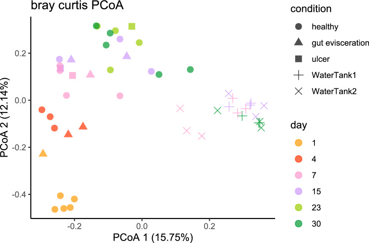 Structural Dynamics of the Skin-Associated Microbiome of the Sea Cucumber Holothuria scabra During Integument Ulceration and Recovery.