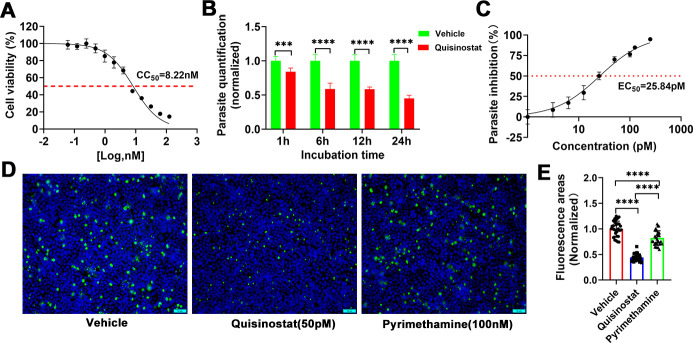 <i>In vitro</i> and <i>in vivo</i> activity of quisinostat against <i>Toxoplasma gondii</i>.