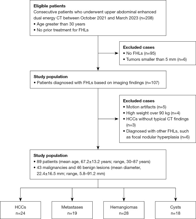 Dual-energy computed tomography-derived electron density in the differential diagnosis of focal hepatic lesions: initial experience.
