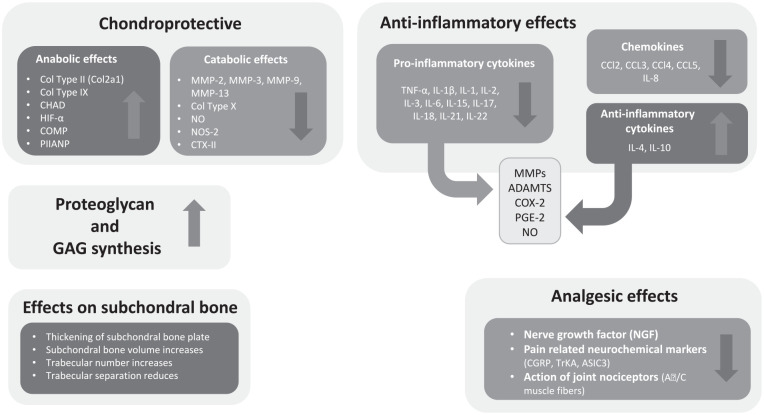 Mechanisms of Action of Intra-articular Hyaluronic Acid Injections for Knee Osteoarthritis: A Targeted Review of the Literature.