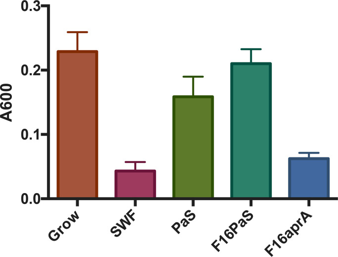 Role of AprA and pyocyanin from <i>Pseudomonas aeruginosa</i> on <i>Staphylococcus aureus</i> tolerance to silver.