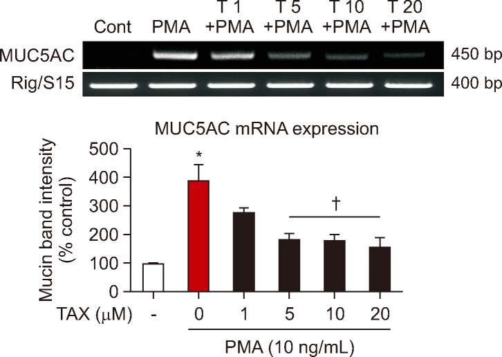 Taxifolin Regulates the Gene Expression of MUC5AC Mucin via Affecting IκBα/NF-κB p65 Signaling in Human Airway Epithelial Cells.