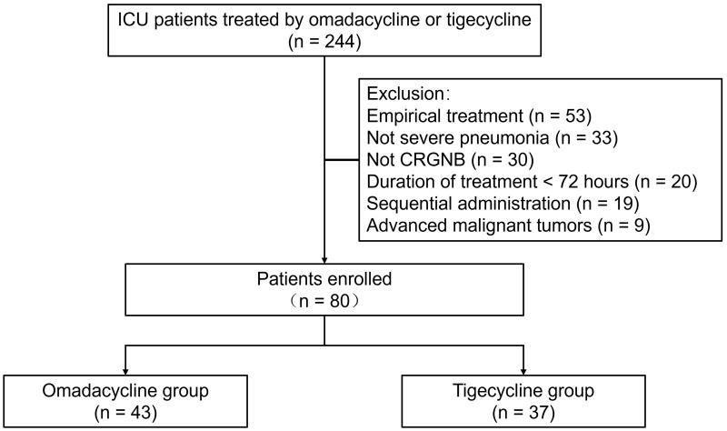 Clinical Efficacy and Safety of Omadacycline Versus Tigecycline in Treating Severe Pneumonia Caused by Carbapenem-Resistant Gram-Negative Bacilli: A Retrospective Cohort Study.