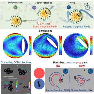 Perturbing dynamics of active emulsions and their collectives