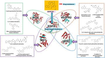 Overcoming EGFR mutation resistance: Dual inhibition strategies using TKIs in non-small cell lung cancer therapy