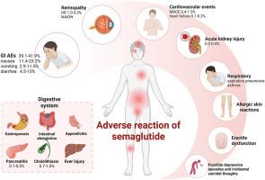 Unraveling the safety profile of GLP-1 receptor agonists: Mechanistic insights with a focus on semaglutide