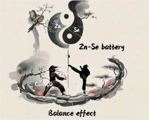 The modulation of adsorption balance effect for promoting selenium cathode redox reaction kinetics in aqueous zinc-selenium battery