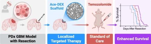 Biodegradable nanofibrous scaffolds enhance standard of care for glioblastoma via localized targeted therapy