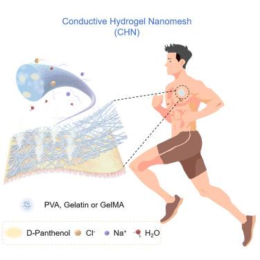 Sweat-activated conductive hydrogel nanomesh for breathable, long-term electrophysiological monitoring and human-centric interfaces