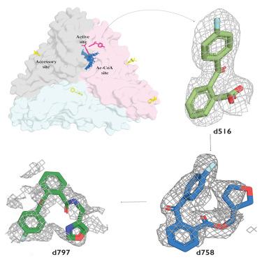 Initial leads to combat streptogramin resistance generated from X-ray fragment screening against VatD