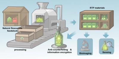 Nature-inspired room-temperature phosphorescence materials: design, mechanisms, and multifunctional applications