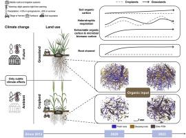 Links between soil microstructure dynamics and carbon cycling in response to land use and climate change
