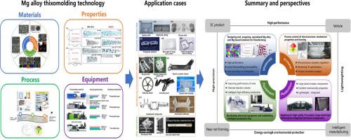 Review of development and progress on thixomolding technology of magnesium alloys