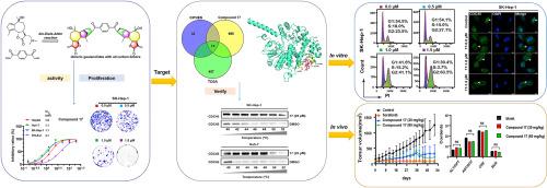 Discovery of dimeric guaianolides with all carbon linkers as potential antihepatoma agents