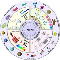 Harness of multifunctional nanozymes: Focusing on material construction to food safety detection and monitoring