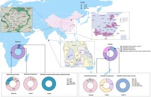 Dissemination of antimicrobial resistance in Klebsiella spp. from urban aquatic environments: a multi-country genomic perspective