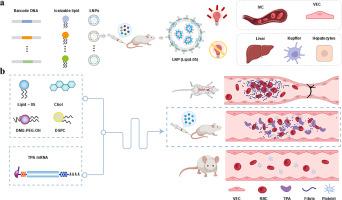 Vascular endothelial cell-targeted mRNA delivery via synthetic lipid nanoparticles for venous thrombosis prevention
