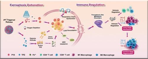 Sono-triggered nanoamplifier mediates ferroptosis-immune regulation against bacterial pneumonia